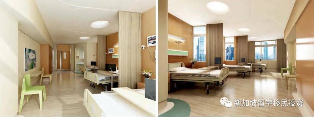 【綜合資訊】帶您詳細了解移民新加坡優勢，經濟，教育，醫療，金融，化工在全球的優勢