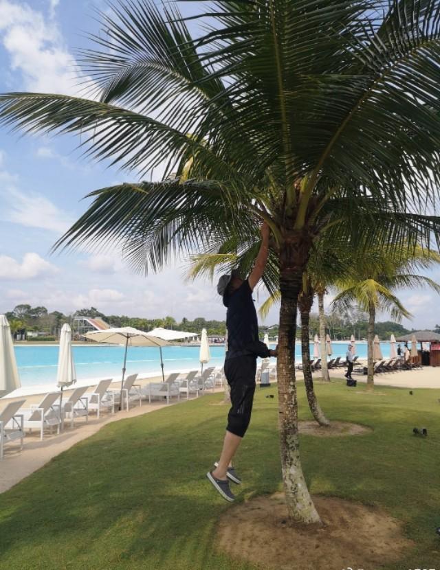 新加坡自由行(七)