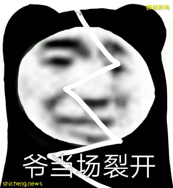 你好,我是你新加坡二房東他二大爺