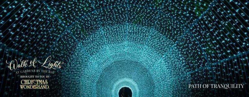 新加坡滨海湾花园圣诞仙境线上线下同开放!可以和圣诞老人通视频哟