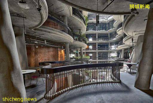 南洋理工大學 Hive 藏在校園裏的“小籠包”