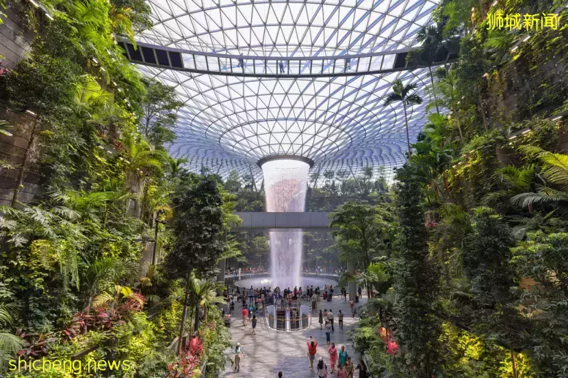 下周從中國來新加坡，有5個新變化