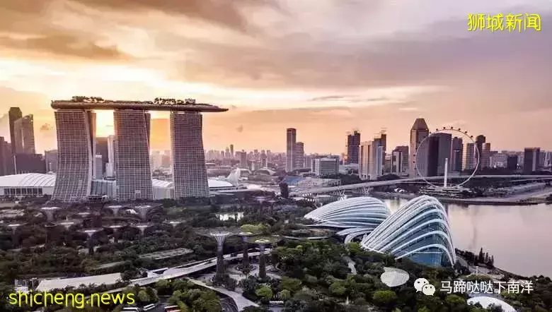 新加坡公司到底發多少年終獎？最後簡直“壕無人性”