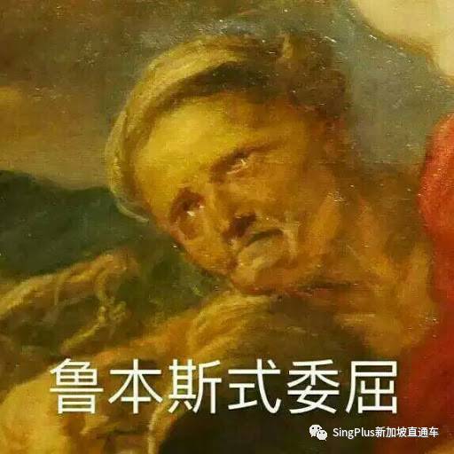 《新加坡高校留学生图鉴》