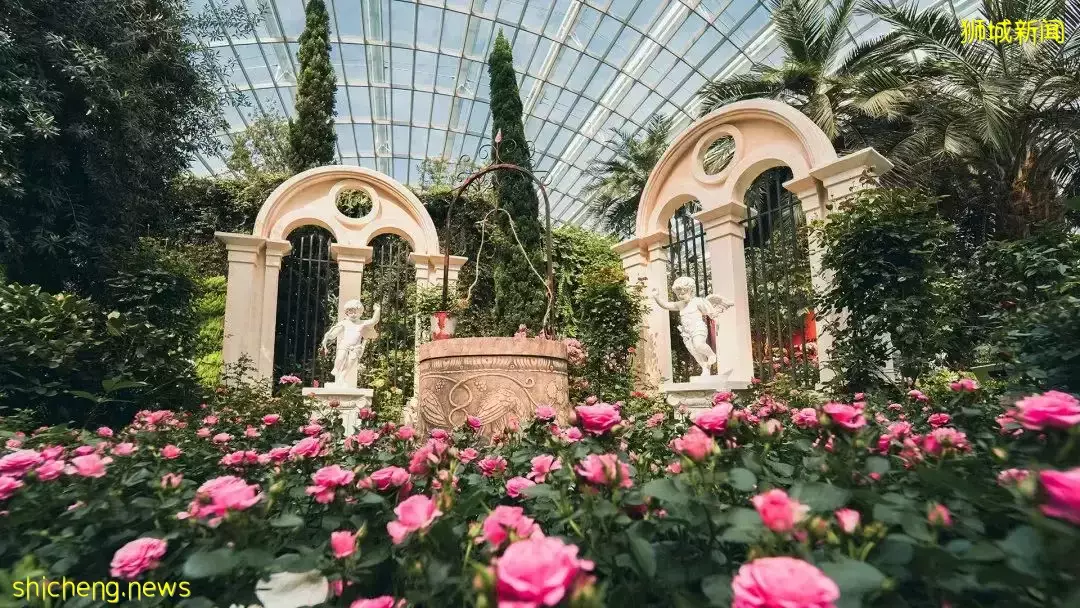 游玩攻略 新加坡好玩有趣的展览合集,不去别后悔