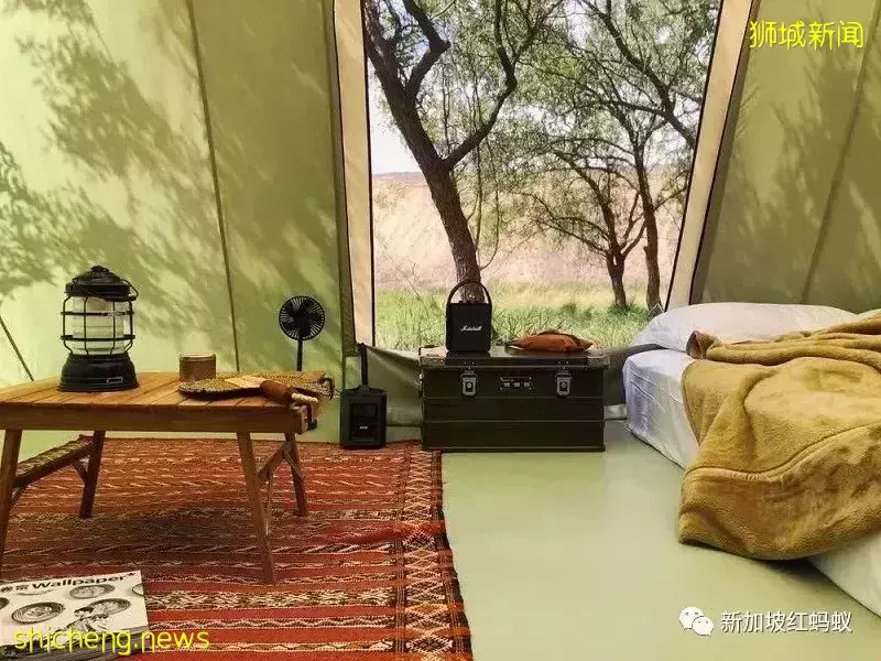 中港掀起豪華露營風　一晚850新元可能還訂不到