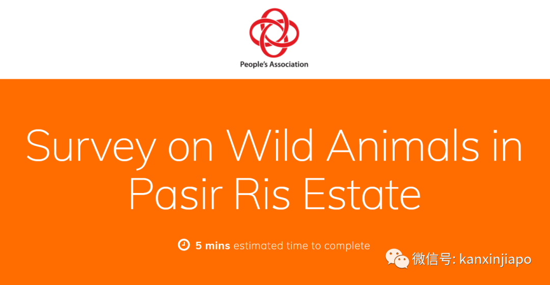 野猪闯祸与民众同罪，去留怎么定？