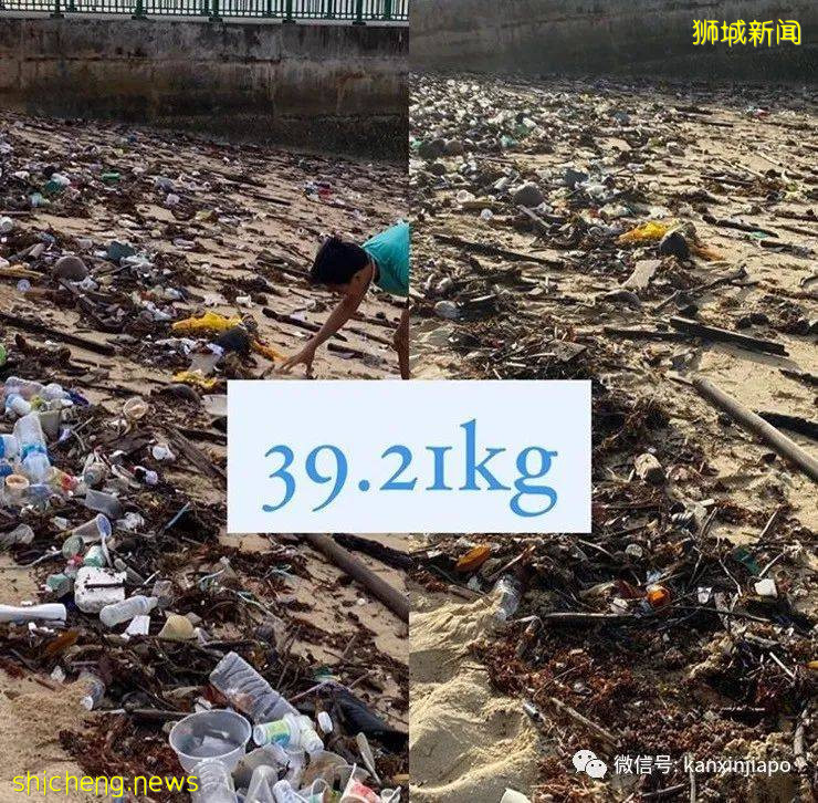 新加坡最近流行撿垃圾了，你還在亂丟嗎
