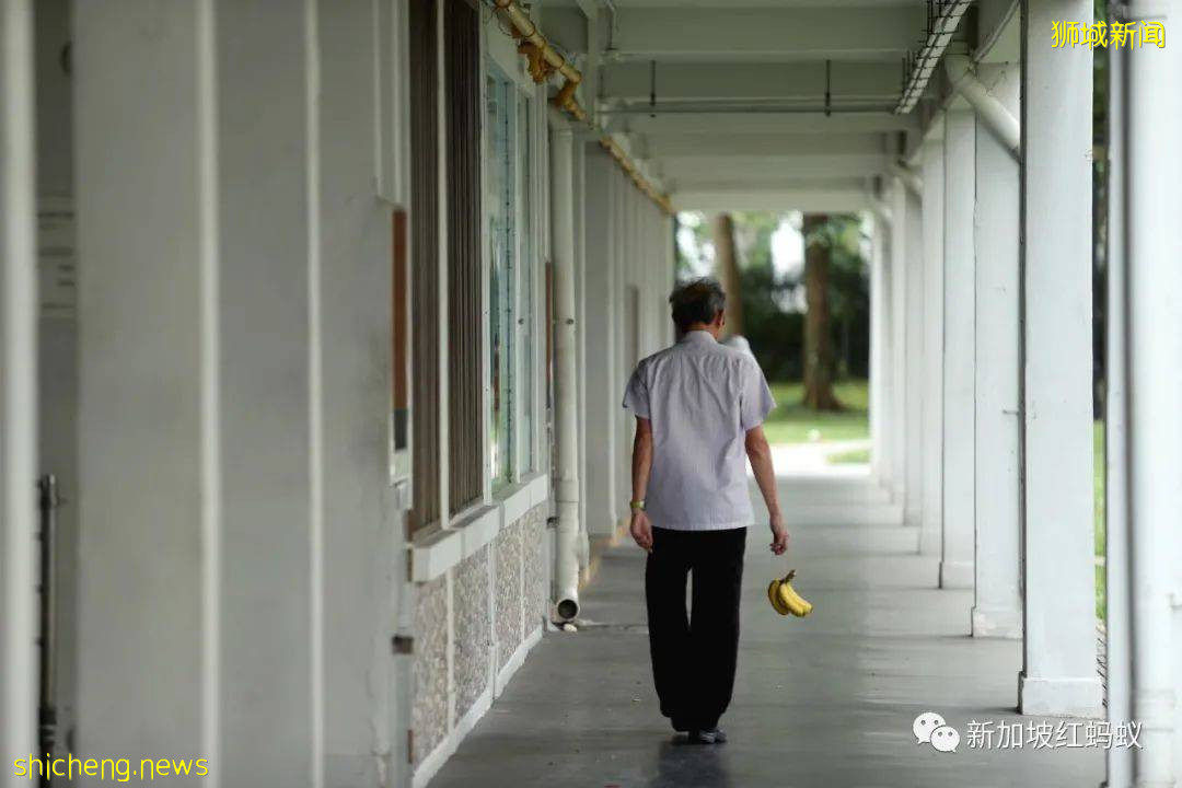 過去十年新加坡家庭規模越變越小，平均月入越來越高