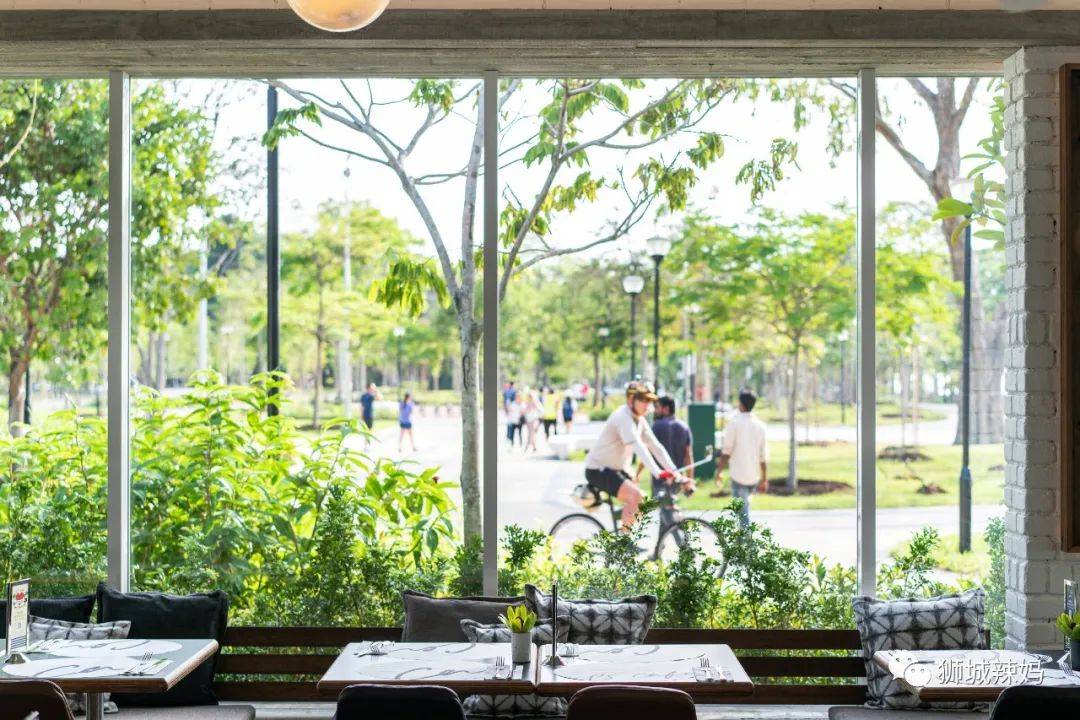 新加坡最in咖啡館，孫燕姿、周傑倫超愛，公開打Call