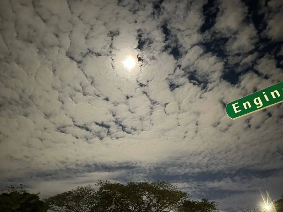 人間四月,來感受新加坡國立大學的春天