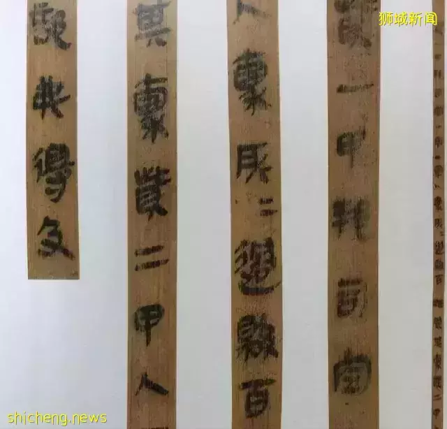 新加坡的7个你所需要知道的真相，和你想的有点不一样