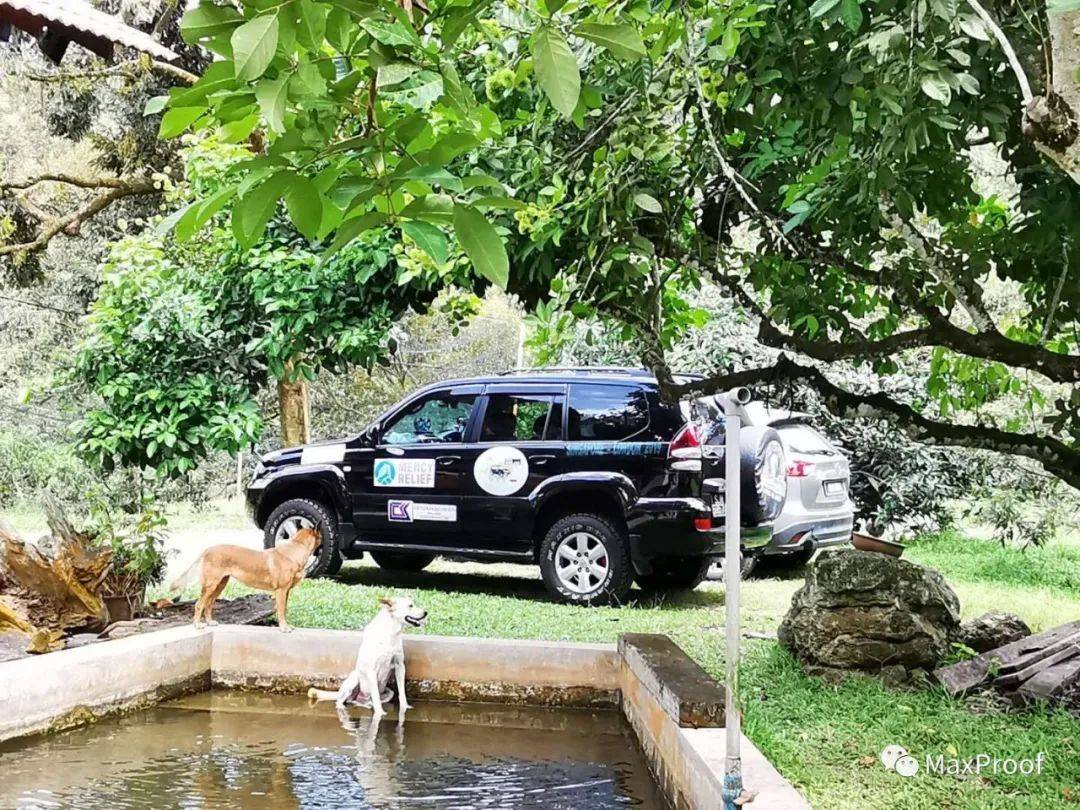 新加坡自由行 獅城人氣景點走起