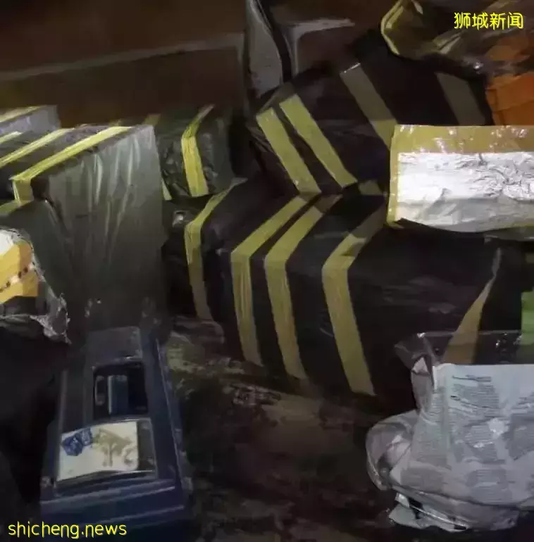 偷税漏税必严惩!新加坡关税局查获1636条漏税烟,两名涉事男子被捕