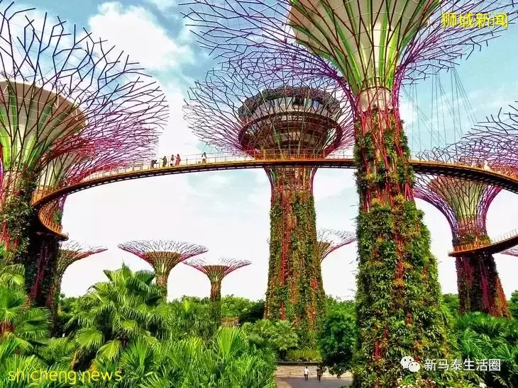 中国人最感兴趣的东盟国家为新马泰3国