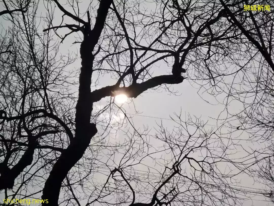 “这个春节,我终于从新加坡回到了中国”