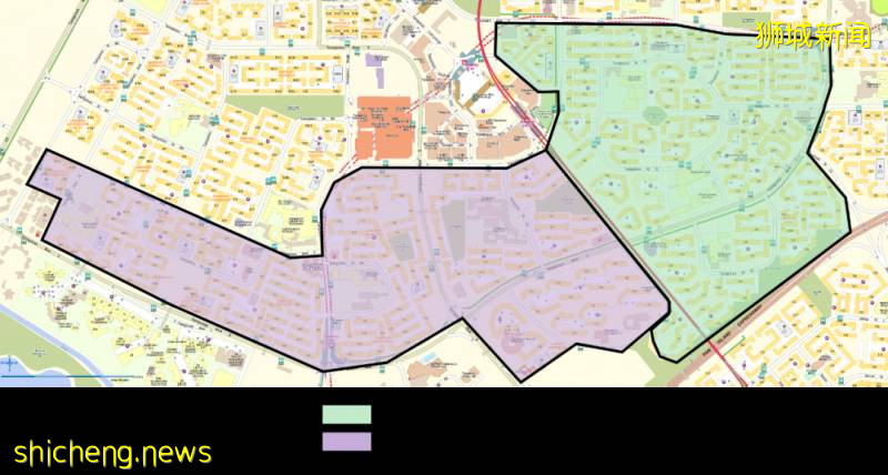 新加坡投放攜帶沃爾巴克菌雄蚊對抗登革熱