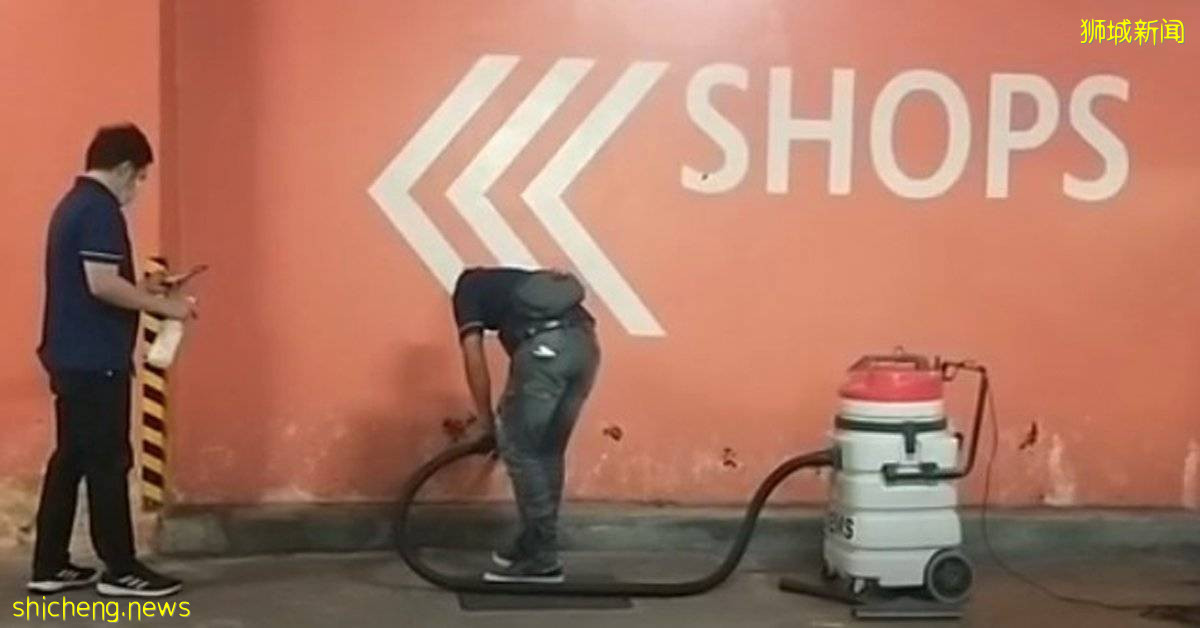 上百小强非法聚集 网民看了喊恶心