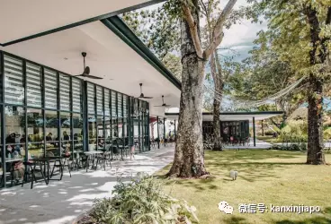 解锁樟宜机场的隐藏玩法,新加坡新晋打卡点