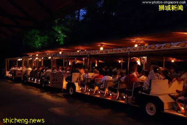 在新加坡野生動物園來一場VIP營地晚宴是怎樣非凡的體驗