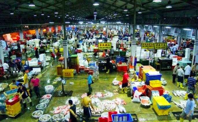 周末去哪玩？一起來探索新加坡本地人都不知道的新奇活動和景點吧