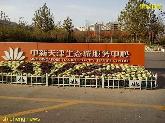 和深圳全面合作後,昨天,新加坡和上海也開始了!