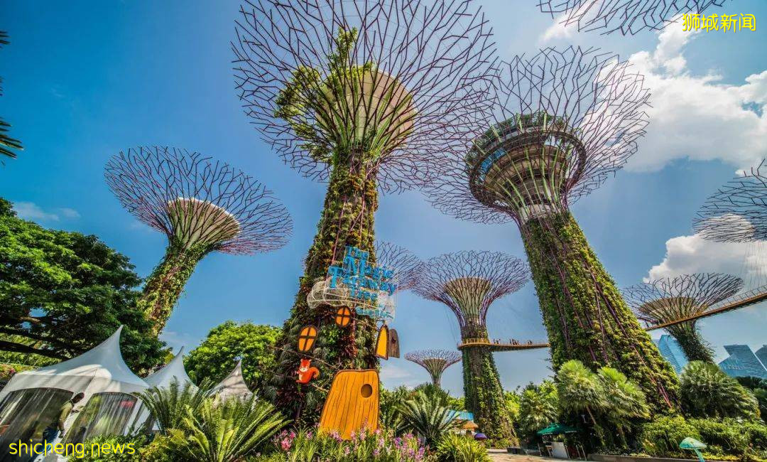 漫遊獅城 爲什麽這裏是網紅打卡地