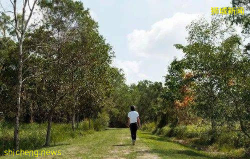 解封後回歸社交生活，有哪些好玩的活動和地點值得一逛？一起來看看吧