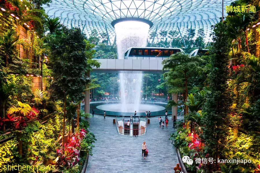 新加坡居民纷纷预订出境游