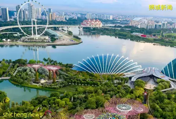 獨家分析：新加坡房地産市場突然降溫，房價會暴跌嗎