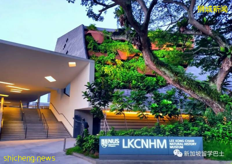 【新加坡留学】我为什么放弃欧美,选择了新加坡留学