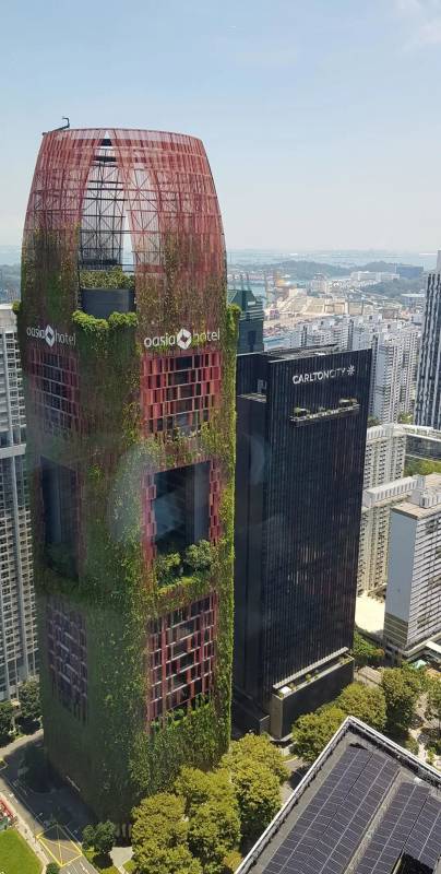 開扒 《西部世界3》《摘金奇緣》獅城取景點大揭秘，你都發現了嗎