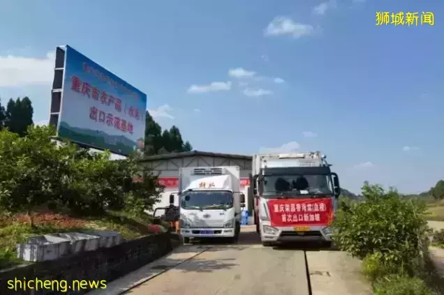 中新动态 重庆与新加坡探索设立金融机构