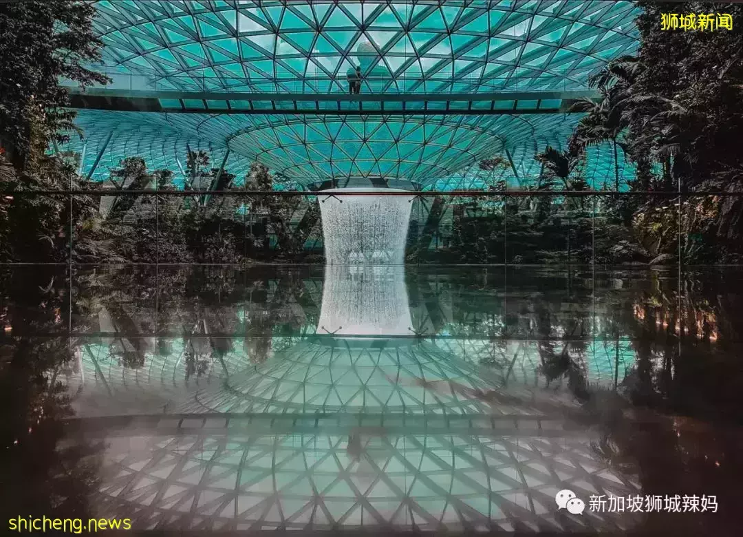 采访了100个在新加坡的人,你有多久没回国了?答案震惊了