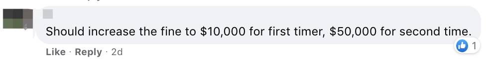 四人在新加坡餵野豬犯法,共被罰1萬新幣!這些罰款規定太多人踩雷