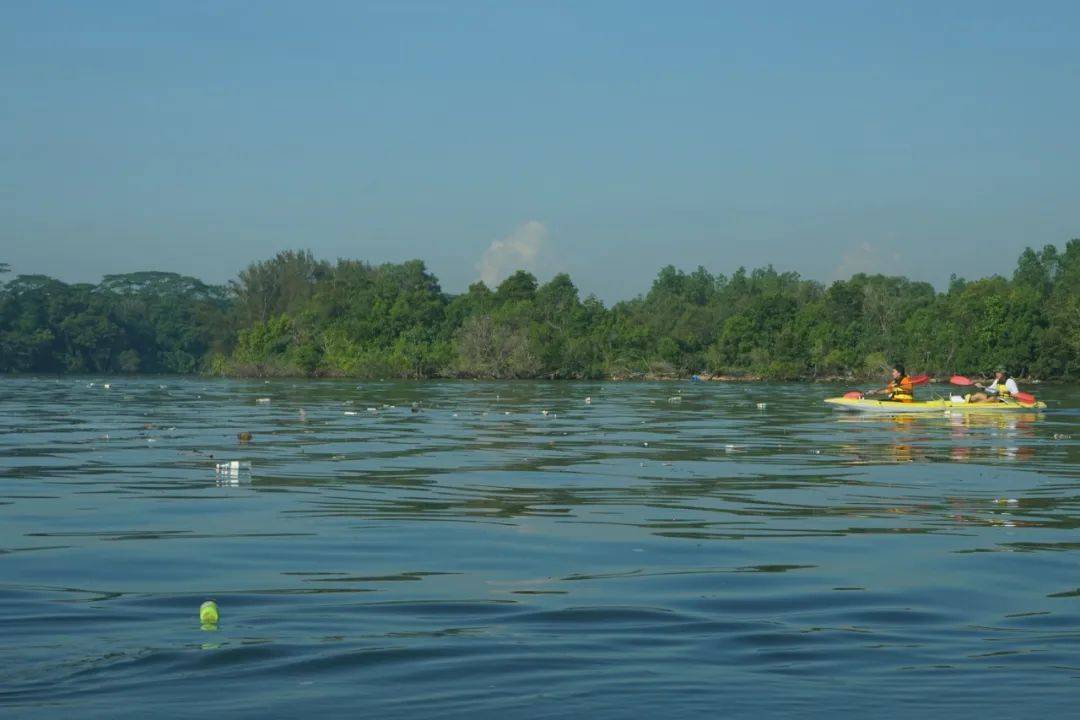 新加坡一天全島沒有清潔工，竟變成了這幅鬼樣子
