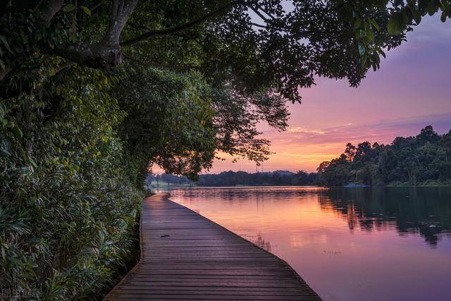 新加坡必看景点，世界上最好的动物园vs超级树，你想看哪个