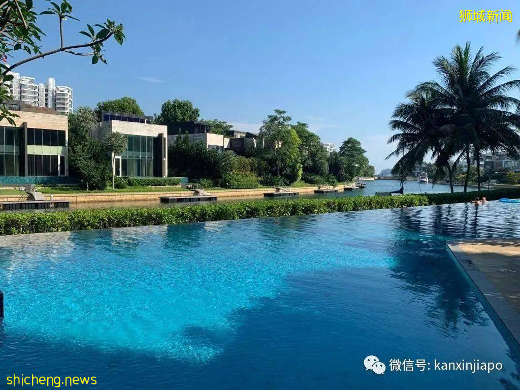 “在新加坡频繁转账，我的账户险些被冻结”