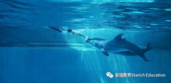 疫情後重啓，新加坡必打卡景點，一起假裝“度假”去嗎