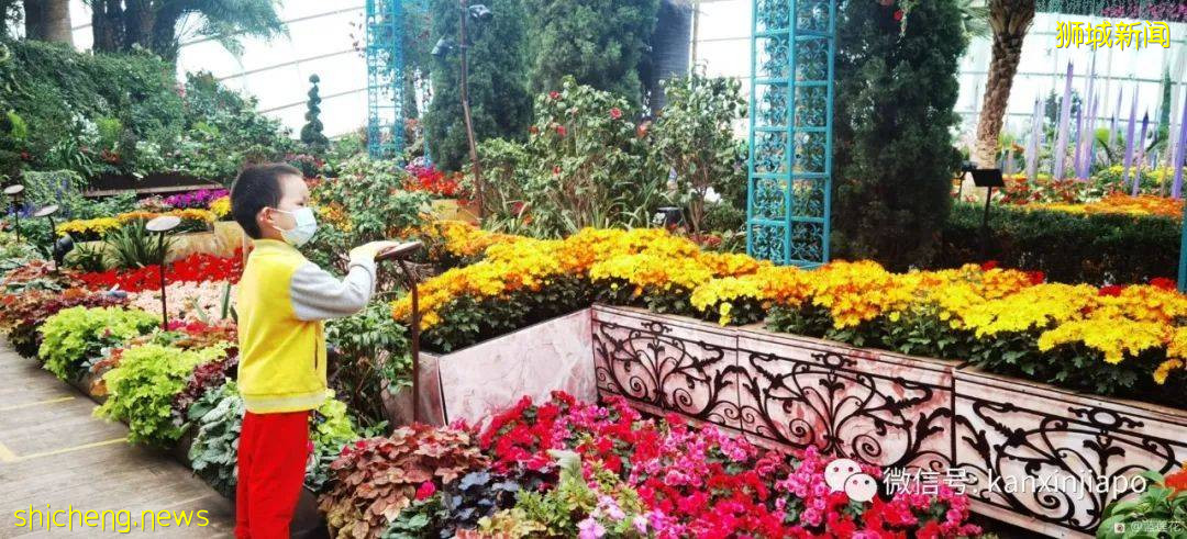 新加坡親子好去處！濱海灣～花穹～雲霧森林～空中步道半日遊