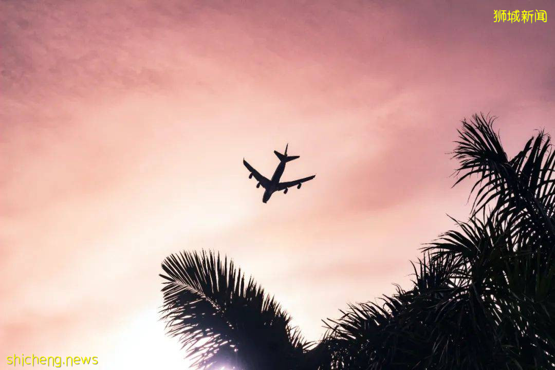 “最近!我從新加坡飛德國、法國免隔離度假,猜猜花了多少錢~”