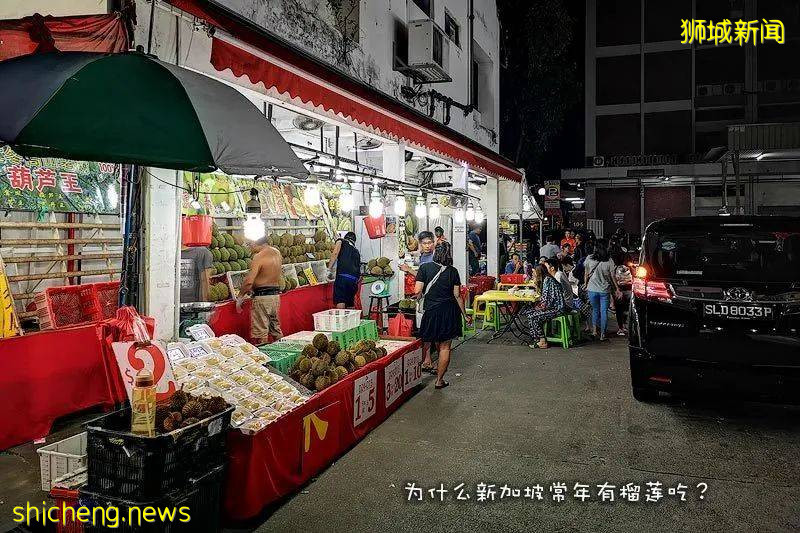 獅城美味 | 又是一年榴梿季：品一品新加坡的榴梿之魅!