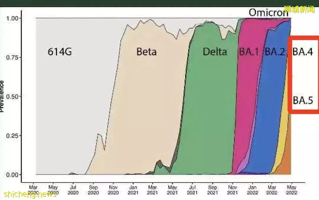 新加坡出現4個奧密克戎變種！會反複感染！衛生部長：統一互認疫苗護照，包括中國