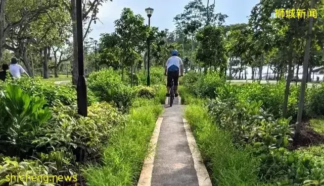 新加坡鼓励低碳出行又出新招啦
