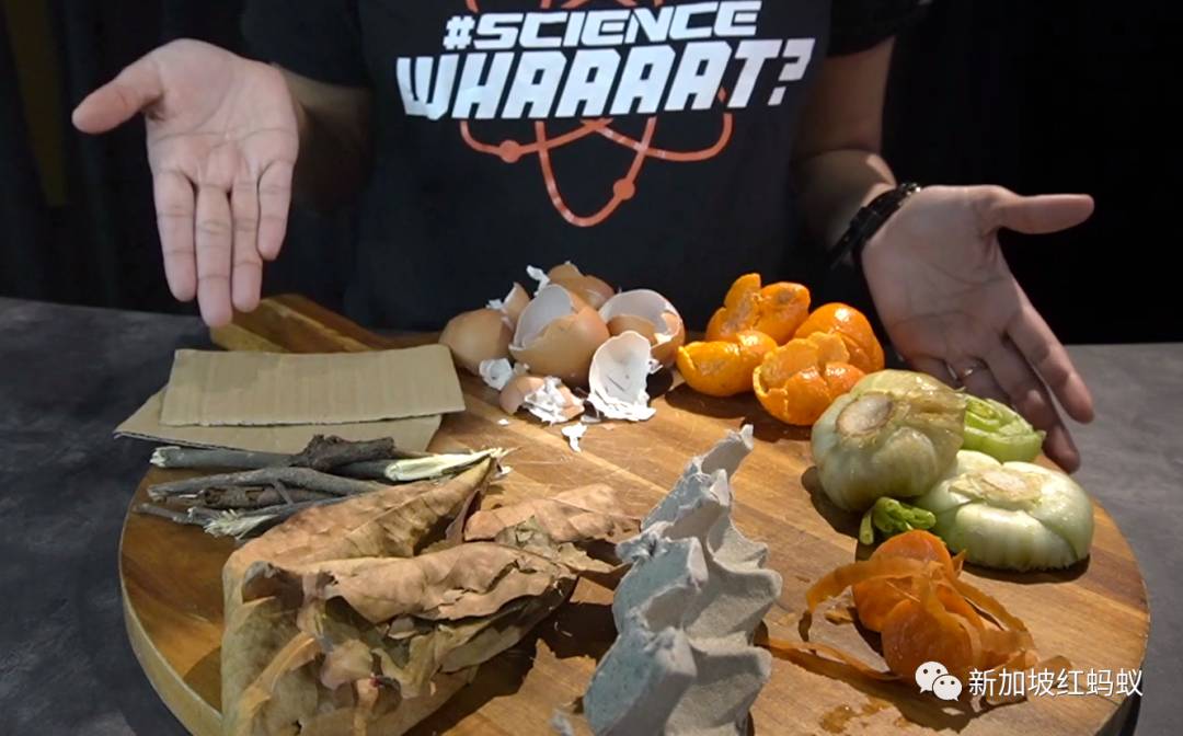 新加坡推广全民种菜,总理还在地球日教大家自制堆肥