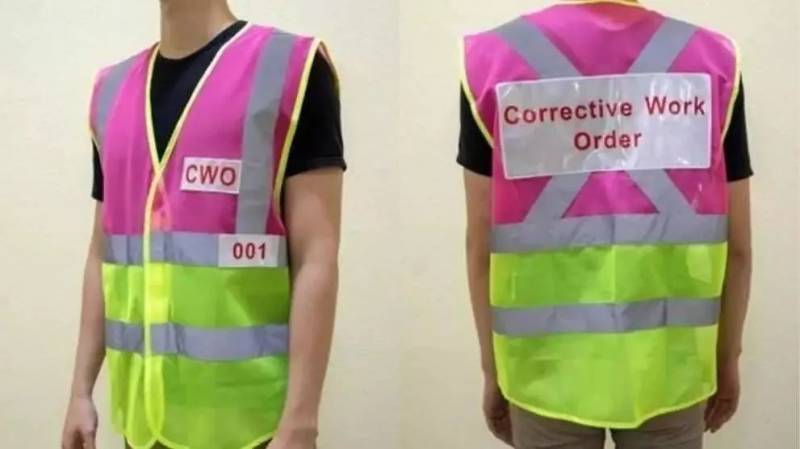 實拍!新加坡這個網紅套上小馬甲,淪落路邊掃垃圾