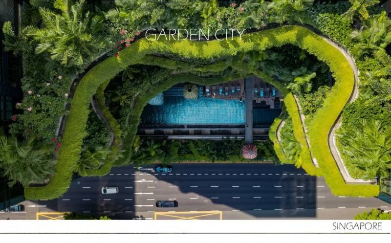 將自然引入城市：新加坡“花園城市”背後的故事