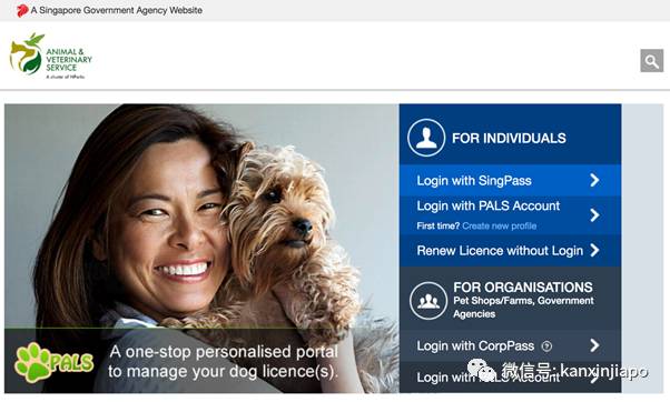 遭HDB人员登门盘查被告知,新加坡组屋不能养猫!这些“毛小孩”也不能出现