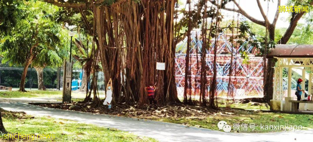 新加坡小众遛娃好去处,吃喝玩乐一应俱有