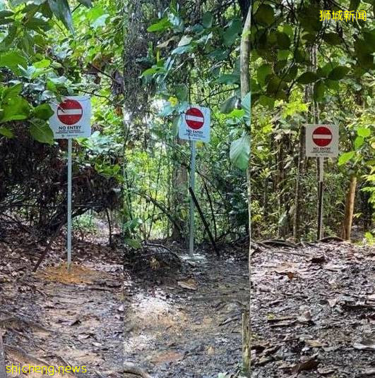 Npark对网红打卡点安装禁止入内标志,违者罚款2000新元